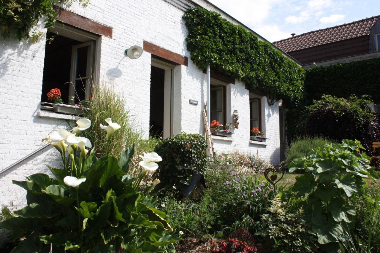 L'Atterrissage Bed & Breakfast Santes Dış mekan fotoğraf